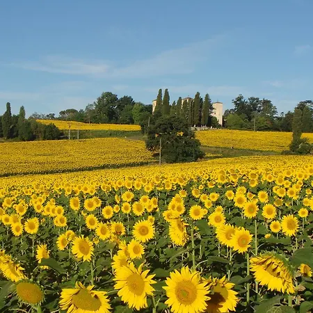 Domek alpejski Les De Grazimis *