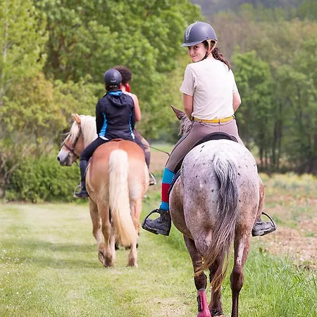 Les De Grazimis בקתה
