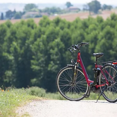 Les De Grazimis בקתה