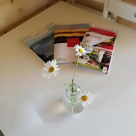 Les De Grazimis * קונדום